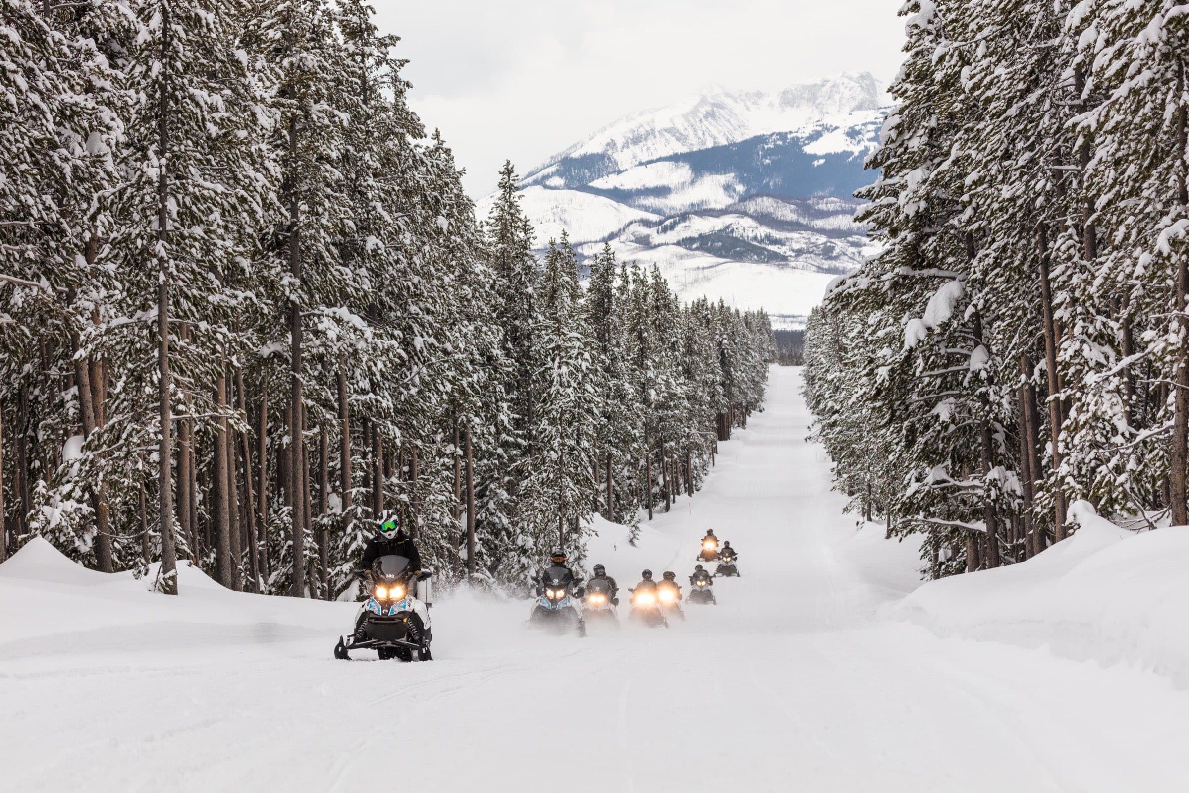 A line of snowmobiles riding a groomed trail through snow-covered pines toward a mountain range