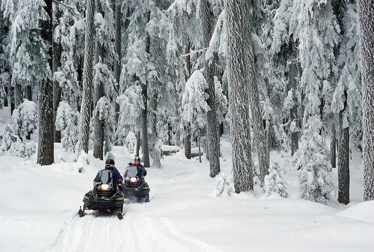 Two riders on snowmobiles following a packed trail through a frost-covered forest